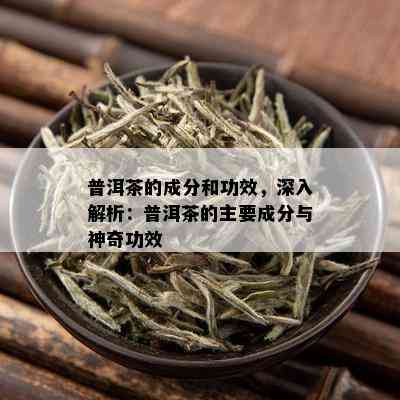 普洱茶的成分和功效，深入解析：普洱茶的主要成分与神奇功效