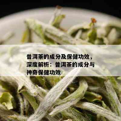 普洱茶的成分及保健功效，深度解析：普洱茶的成分与神奇保健功效