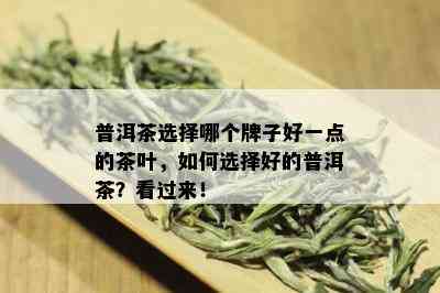 普洱茶选择哪个牌子好一点的茶叶，如何选择好的普洱茶？看过来！