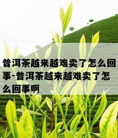 普洱茶越来越难卖了怎么回事-普洱茶越来越难卖了怎么回事啊