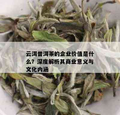 云洱普洱茶的企业价值是什么？深度解析其商业意义与文化内涵