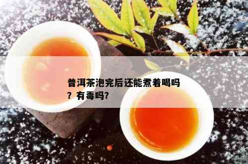 普洱茶泡完后还能煮着喝吗？有吗？