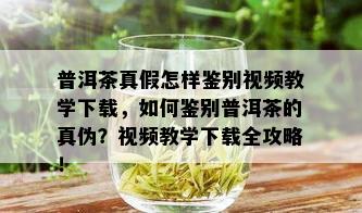 普洱茶真假怎样鉴别视频教学下载，如何鉴别普洱茶的真伪？视频教学下载全攻略！