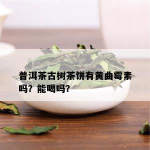 普洱茶古树茶饼有黄曲霉素吗？能喝吗？