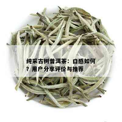 纯采古树普洱茶：口感如何？用户分享评价与推荐