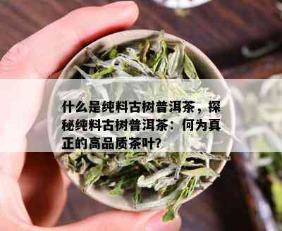 什么是纯料古树普洱茶，探秘纯料古树普洱茶：何为真正的高品质茶叶？