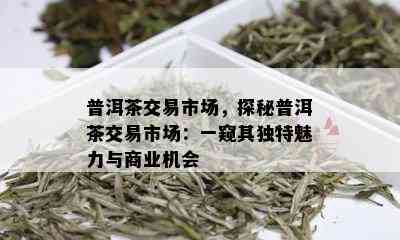 普洱茶交易市场，探秘普洱茶交易市场：一窥其独特魅力与商业机会