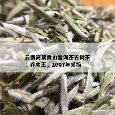 云南高黎贡山普洱茶古树茶：乔木王，2007年采摘