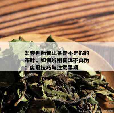 怎样判断普洱茶是不是假的茶叶，如何辨别普洱茶真伪：实用技巧与注意事项