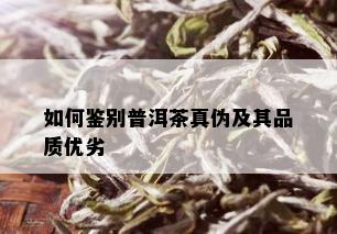 如何鉴别普洱茶真伪及其品质优劣