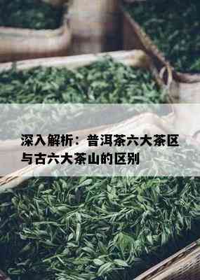 深入解析：普洱茶六大茶区与古六大茶山的区别