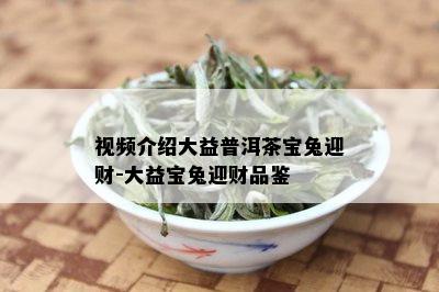 视频介绍大益普洱茶宝兔迎财-大益宝兔迎财品鉴