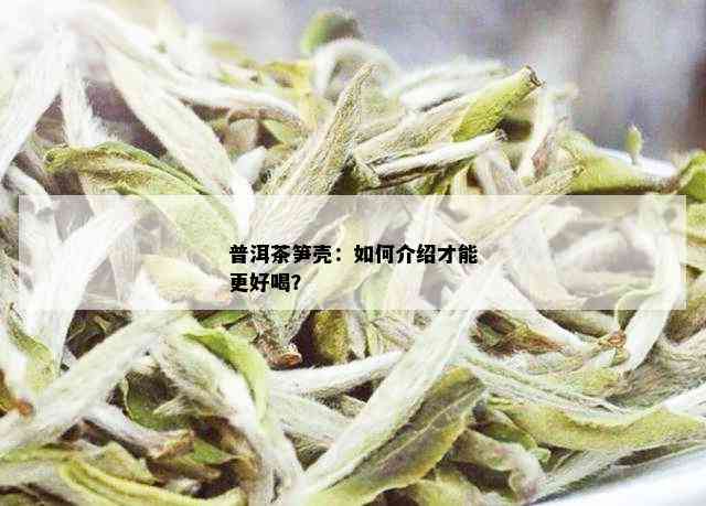 普洱茶笋壳：如何介绍才能更好喝？