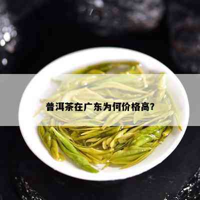 普洱茶在广东为何价格高？