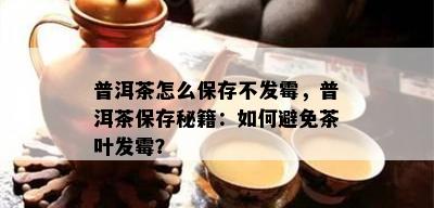 普洱茶怎么保存不发霉，普洱茶保存秘籍：如何避免茶叶发霉？