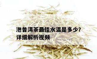 泡普洱茶更佳水温是多少？详细解析视频