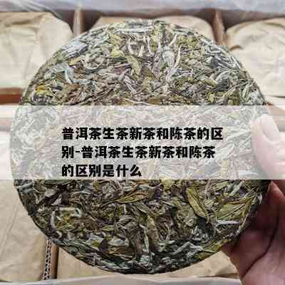 普洱茶生茶新茶和陈茶的区别-普洱茶生茶新茶和陈茶的区别是什么