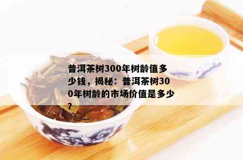 普洱茶树300年树龄值多少钱，揭秘：普洱茶树300年树龄的市场价值是多少？