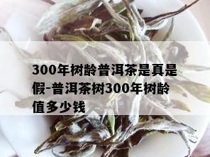 300年树龄普洱茶是真是假-普洱茶树300年树龄值多少钱