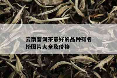 云南普洱茶更好的品种排名榜图片大全及价格