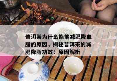 普洱茶为什么能够减肥降血脂的原因，揭秘普洱茶的减肥降脂功效：原因解析