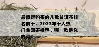 最值得购买的几款普洱茶排名前十，2023年十大热门普洱茶推荐，哪一款是你的菜？