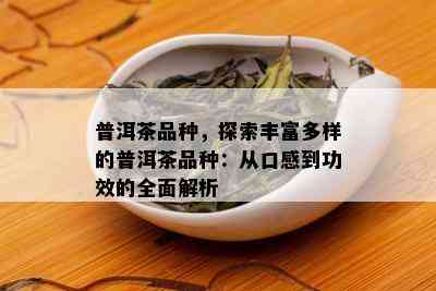 普洱茶品种，探索丰富多样的普洱茶品种：从口感到功效的全面解析