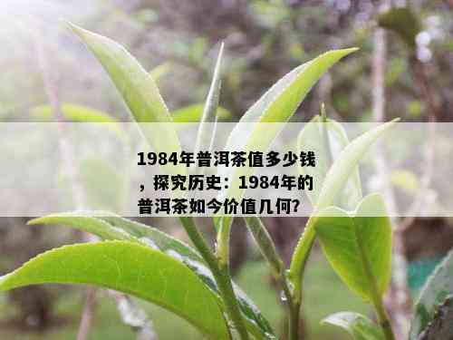 1984年普洱茶值多少钱，探究历史：1984年的普洱茶如今价值几何？