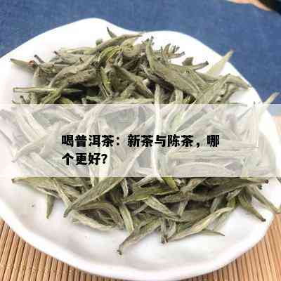 喝普洱茶：新茶与陈茶，哪个更好？