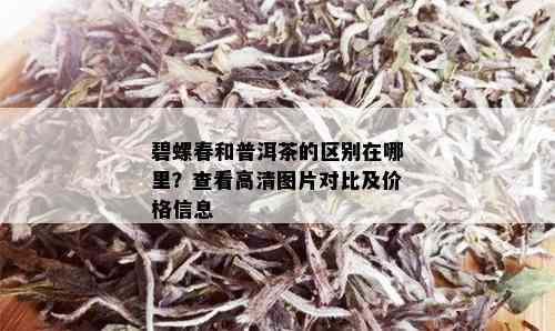 碧螺春和普洱茶的区别在哪里？查看高清图片对比及价格信息