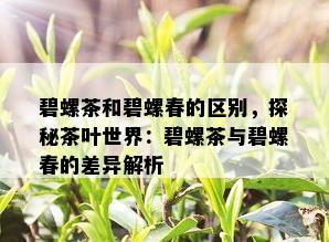 碧螺茶和碧螺春的区别，探秘茶叶世界：碧螺茶与碧螺春的差异解析