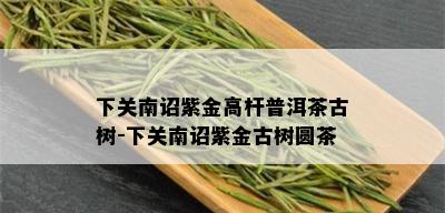 下关南诏紫金高杆普洱茶古树-下关南诏紫金古树圆茶