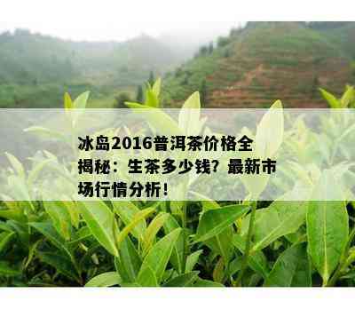 冰岛2016普洱茶价格全揭秘：生茶多少钱？最新市场行情分析！