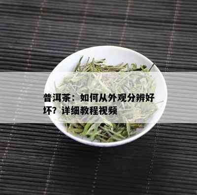 普洱茶：如何从外观分辨好坏？详细教程视频