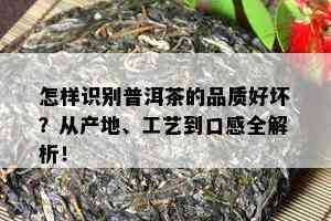 怎样识别普洱茶的品质好坏？从产地、工艺到口感全解析！