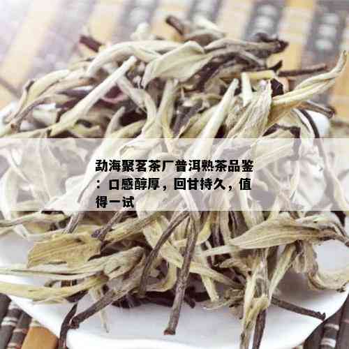 勐海聚茗茶厂普洱熟茶品鉴：口感醇厚，回甘持久，值得一试