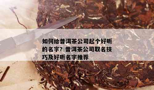 如何给普洱茶公司起个好听的名字？普洱茶公司取名技巧及好听名字推荐