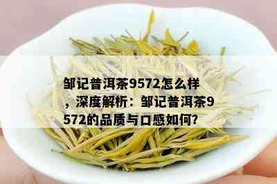 邹记普洱茶9572怎么样，深度解析：邹记普洱茶9572的品质与口感如何？