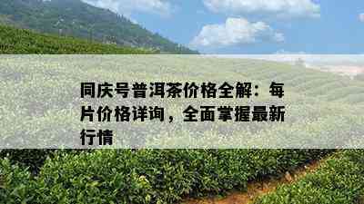 同庆号普洱茶价格全解：每片价格详询，全面掌握最新行情