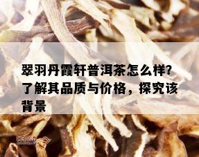 翠羽丹霞轩普洱茶怎么样？了解其品质与价格，探究该背景