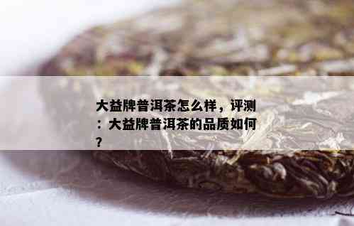 大益牌普洱茶怎么样，评测：大益牌普洱茶的品质如何？