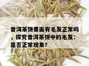 普洱茶饼里面有毛发正常吗，探究普洱茶饼中的毛发：是否正常现象？