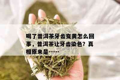 喝了普洱茶牙齿变黄怎么回事，普洱茶让牙齿染色？真相原来是……