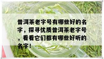 普洱茶老字号有哪些好的名字，探寻优质普洱茶老字号，看看它们都有哪些好听的名字！