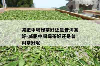 减肥中喝绿茶好还是普洱茶好-减肥中喝绿茶好还是普洱茶好呢