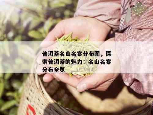 普洱茶名山名寨分布图，探索普洱茶的魅力：名山名寨分布全览