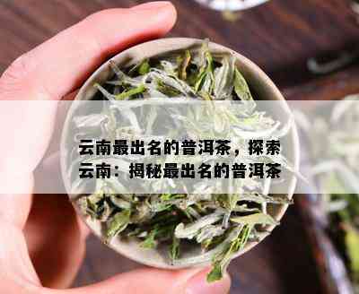 云南最出名的普洱茶，探索云南：揭秘最出名的普洱茶