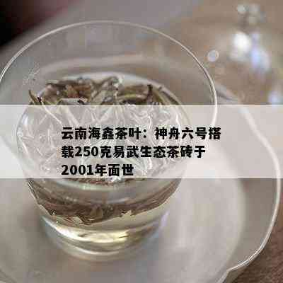 云南海鑫茶叶：神舟六号搭载250克易武生态茶砖于2001年面世