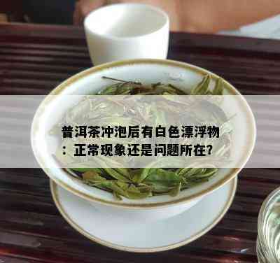 普洱茶冲泡后有白色漂浮物：正常现象还是问题所在？