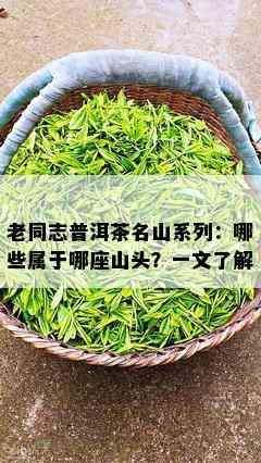 老同志普洱茶名山系列：哪些属于哪座山头？一文了解